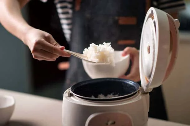 rice cooker vs slow cooker: rice cooker