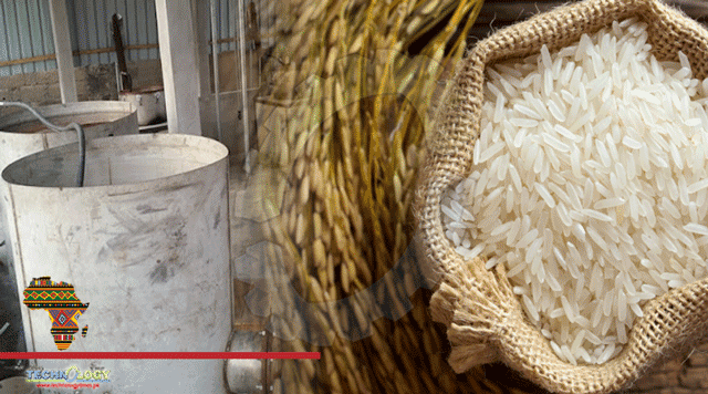 Africa Moves Towards Rice Self-Sufficiency with GEM Technology