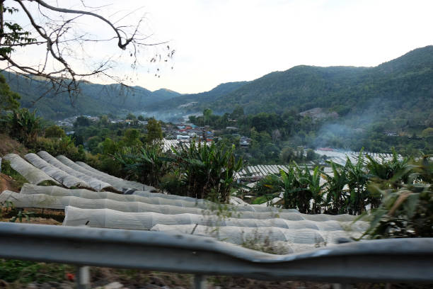 Cooking Rice at High Altitude: How It Affects Rice Cooking and Quality