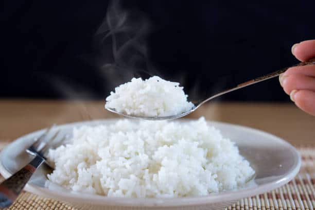 Is Rice Paleo Friendly?