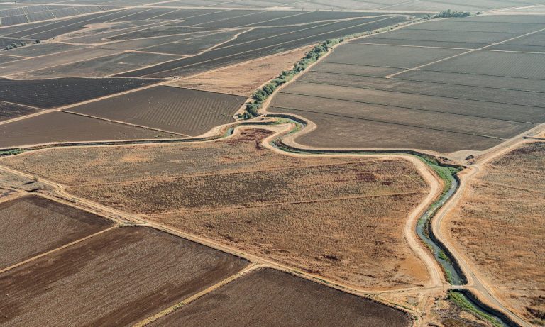 Droughts Are Severely Affecting California’s Rice Production