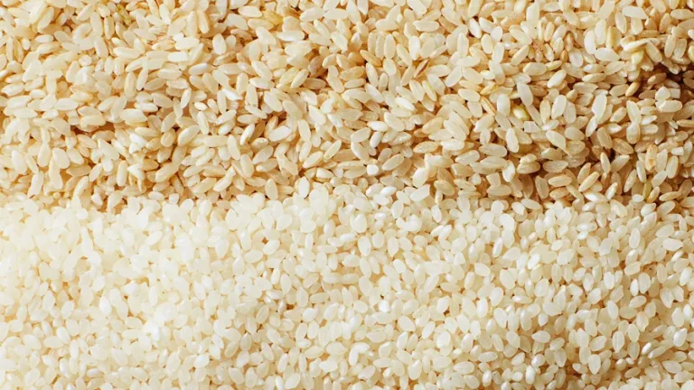 Top 6 Japanese Rice Varieties You Should Try