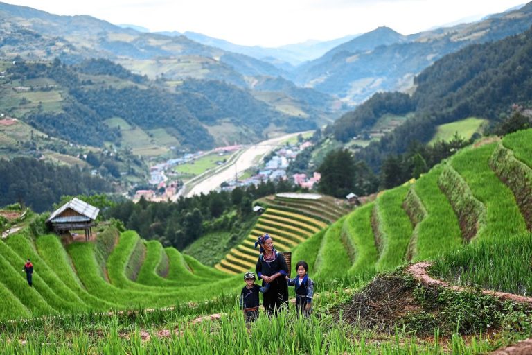 Vietnam Exports Seven Million Tons of Rice in 2022