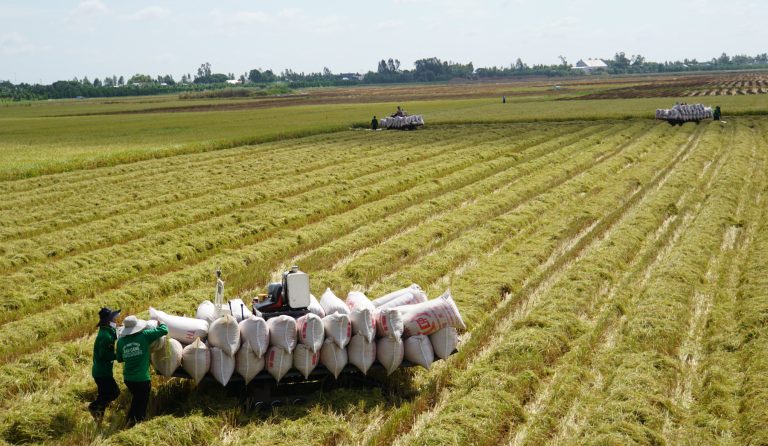 Australia and Vietnam Partner up to Promote Sustainable Rice Value Chain Supply