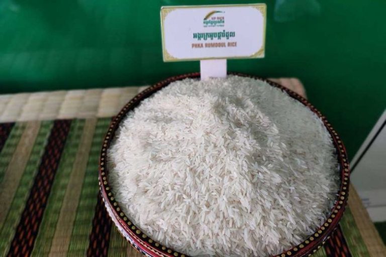 Cambodian Rice is Crowned Number One in the World