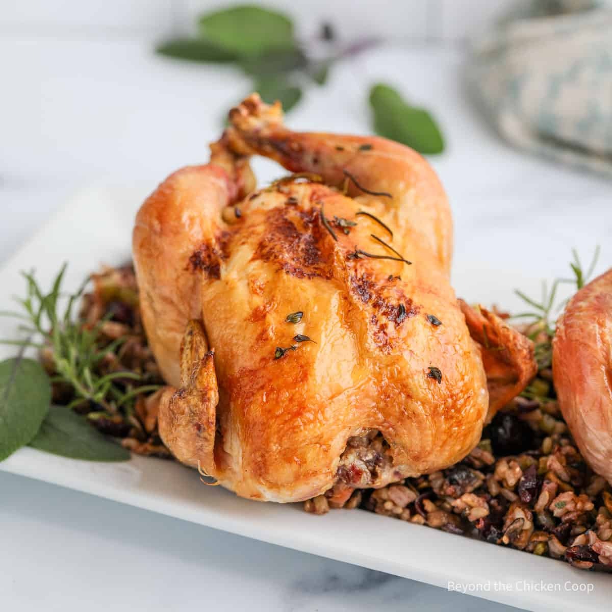 Glazed Cornish Hens with Pecan Rice Stuffing Recipe We Know Rice