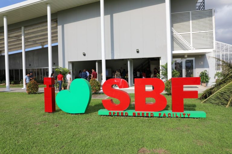 International Rice Research Institute Builds New Facility to Accelerate Production of New Rice Varieties