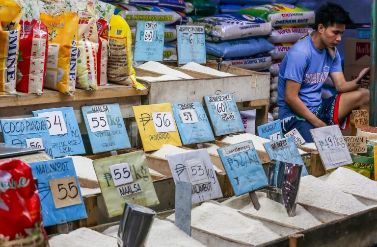 ASEAN Region Struggles with Global Rice Prices and Food Security