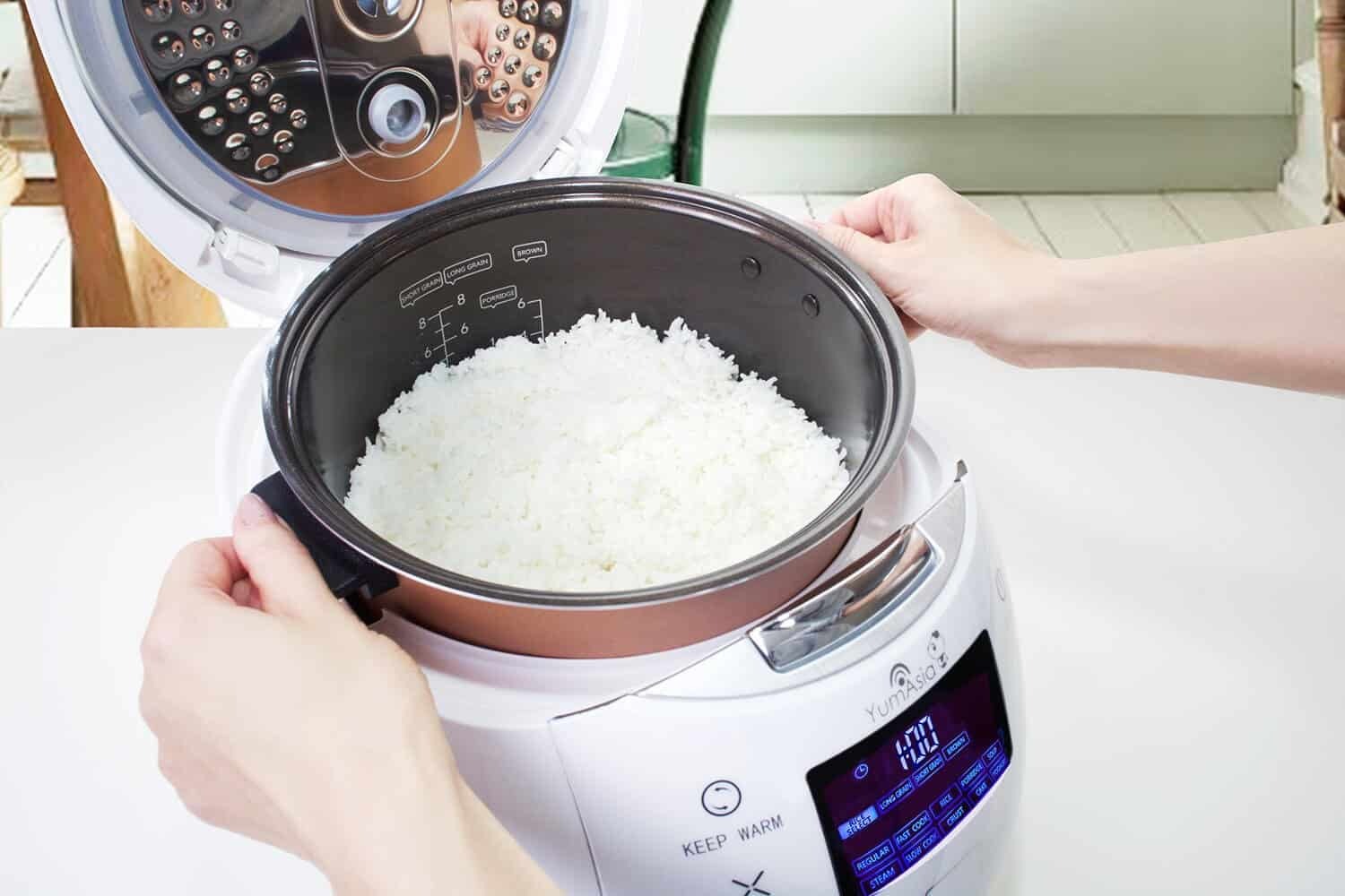 A Guide to All the Different Types of Rice Cookers We Know Rice