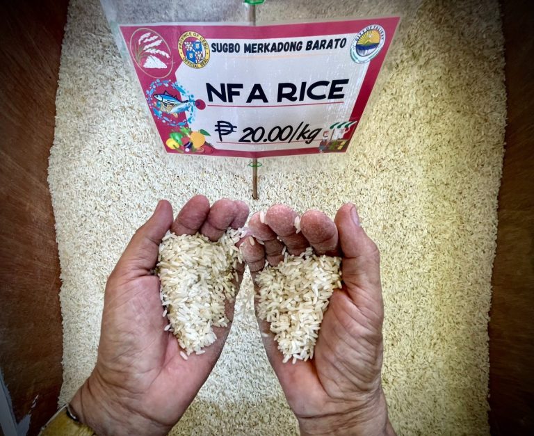 Cebu Provincial Government Launches Pop-Up Market to Sell Rice at 20 PHP per Kilo