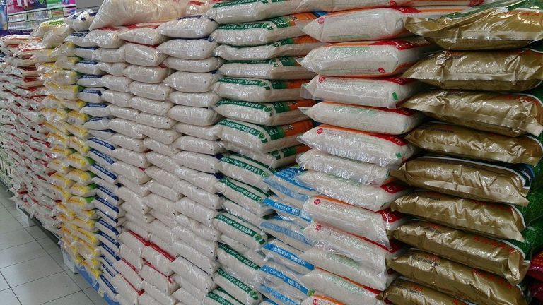 Department of Agriculture Projects 1.1% Increase in Rice Production for Q1