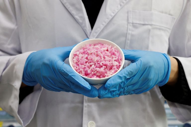 South Korean Scientists Create ‘Beef Rice’ as a Potential Source of Protein