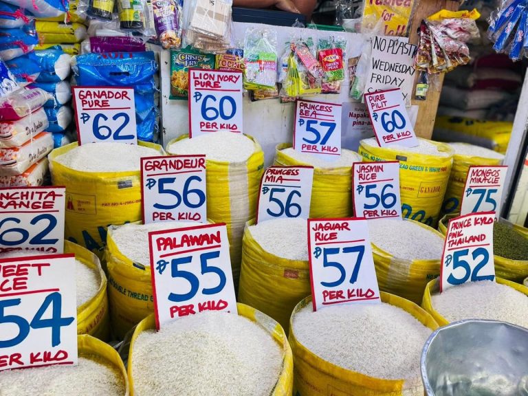 Rice Prices in the Philippines Expected to Decrease by 20% in September