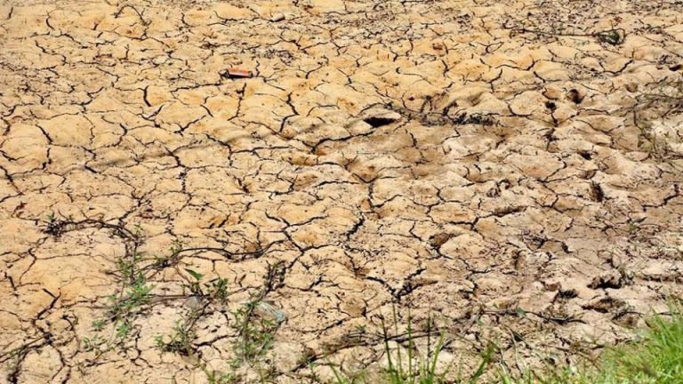 Dry Season Rice in Cambodian Provinces Affected by Water Shortages and Floods