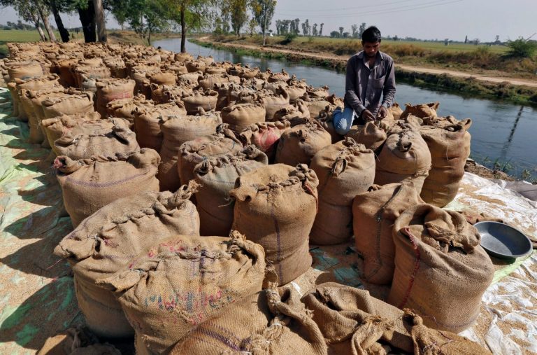 Philippines May Benefit From India’s Removal of Minimum Export Price on Rice