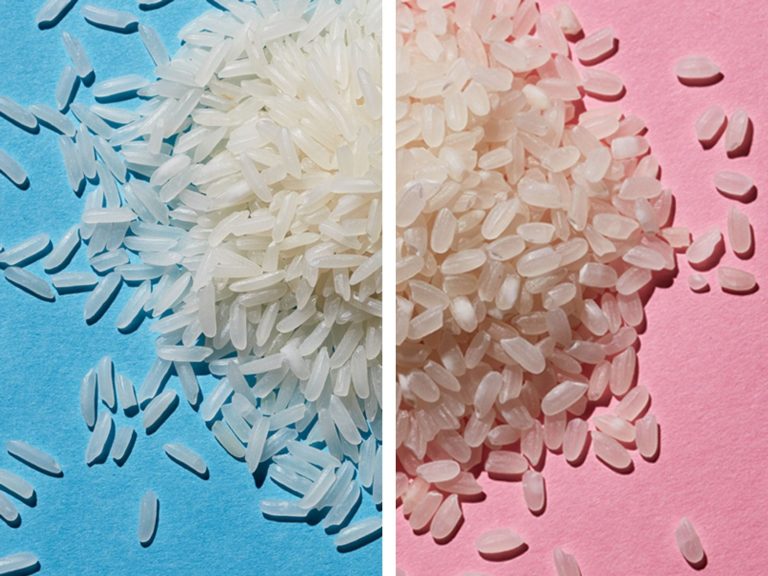 Long Grain vs Short Grain Rice: Differences Explained