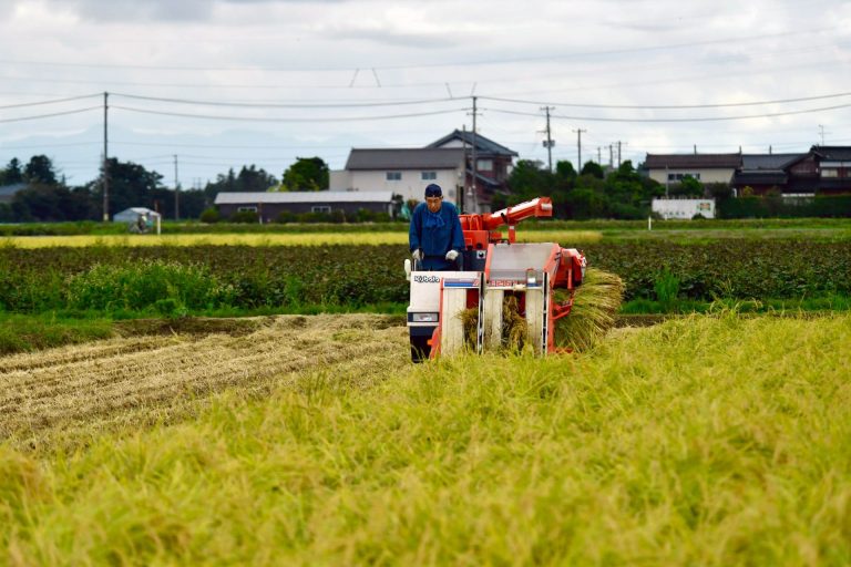 IRRI Helps Advance New Global Standards for Measuring Greenhouse Gas Emissions in Rice Farming